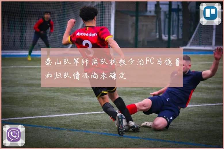 泰山队军师离队执教今治FC马德鲁加归队情况尚未确定